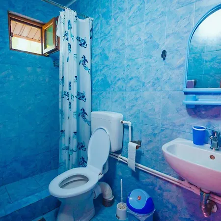 Pensjonat Casa Dochia Sfântu Gheorghe