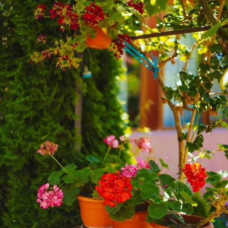 Casa Dochia بيت ضيافة *