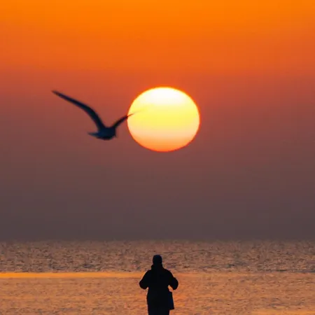 بيت ضيافة Casa Dochia *